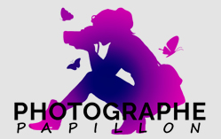 logo sugarfleurs